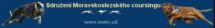 mscoursing.com